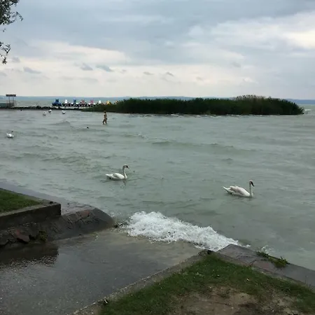 Puerto Azul * Siófok